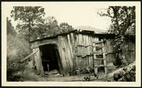 American Women's Hospitals Service photo of wooden building with a ladder (photograph), circa 1930<blockquote class="juicy-quote">A seemingly unstable but inhabited wooden home in the mountainous Applachian region of the United States.</blockquote><div class="view-evidence"><a href="https://doctordoctress.org/islandora/object/islandora:1859/story/islandora:2085" class="btn btn-primary custom-colorbox-load"><span class="glyphicon glyphicon-search"></span> Evidence</a></div>